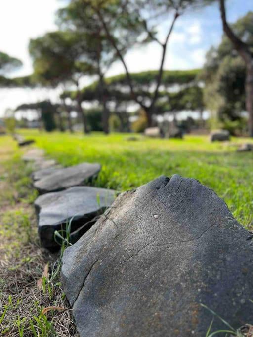 Per Antiqua Itinere Apartment Ostia Antica Exterior photo