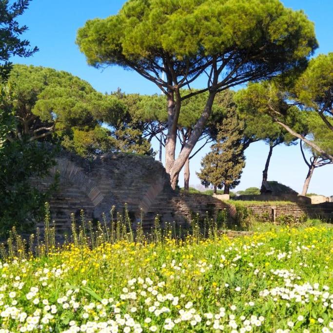 Per Antiqua Itinere Apartment Ostia Antica Exterior photo