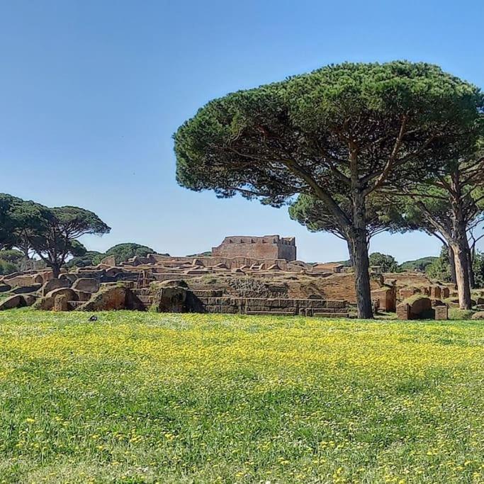Per Antiqua Itinere Apartment Ostia Antica Exterior photo