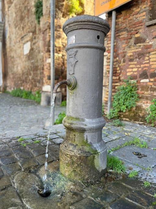 Per Antiqua Itinere Apartment Ostia Antica Exterior photo